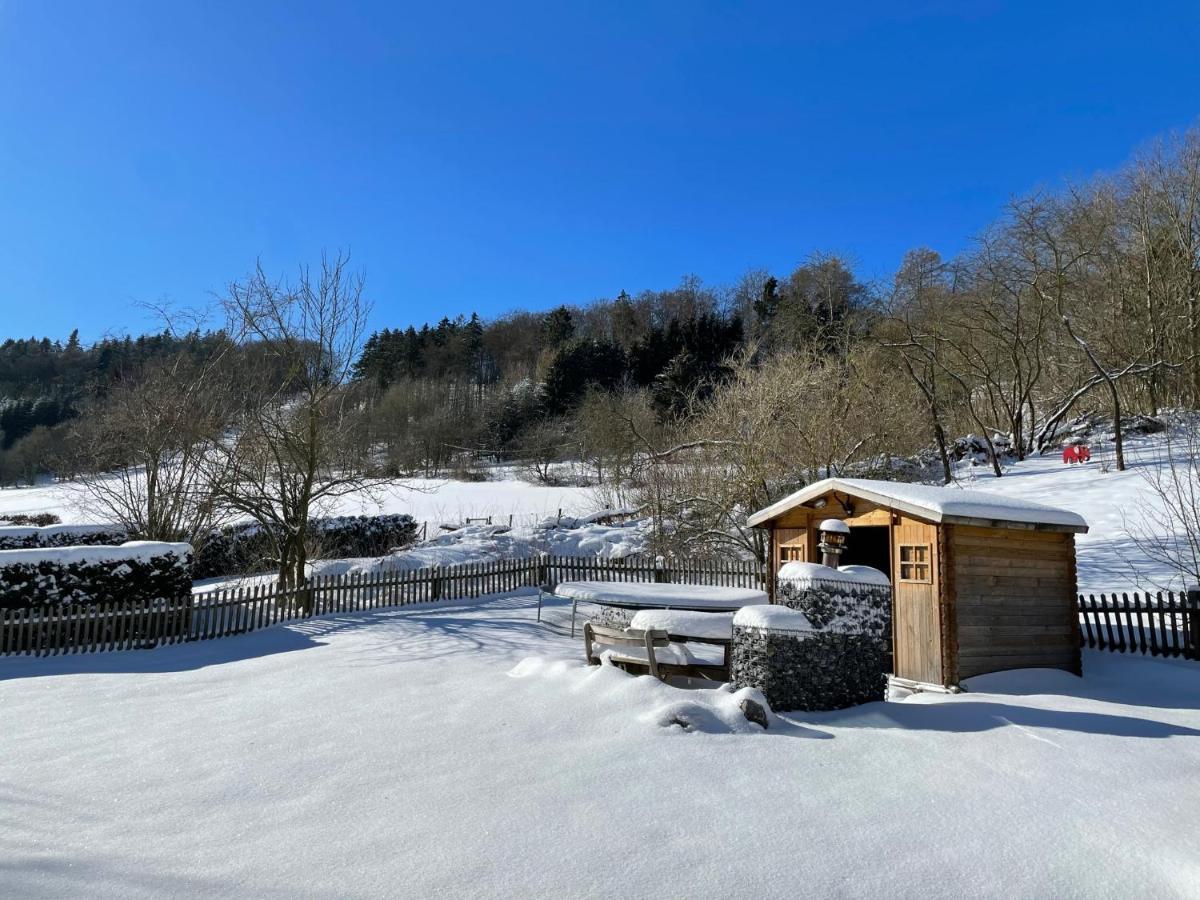 Ferienwohnung Up Willingen-Schwalefeld فيلنغن المظهر الخارجي الصورة