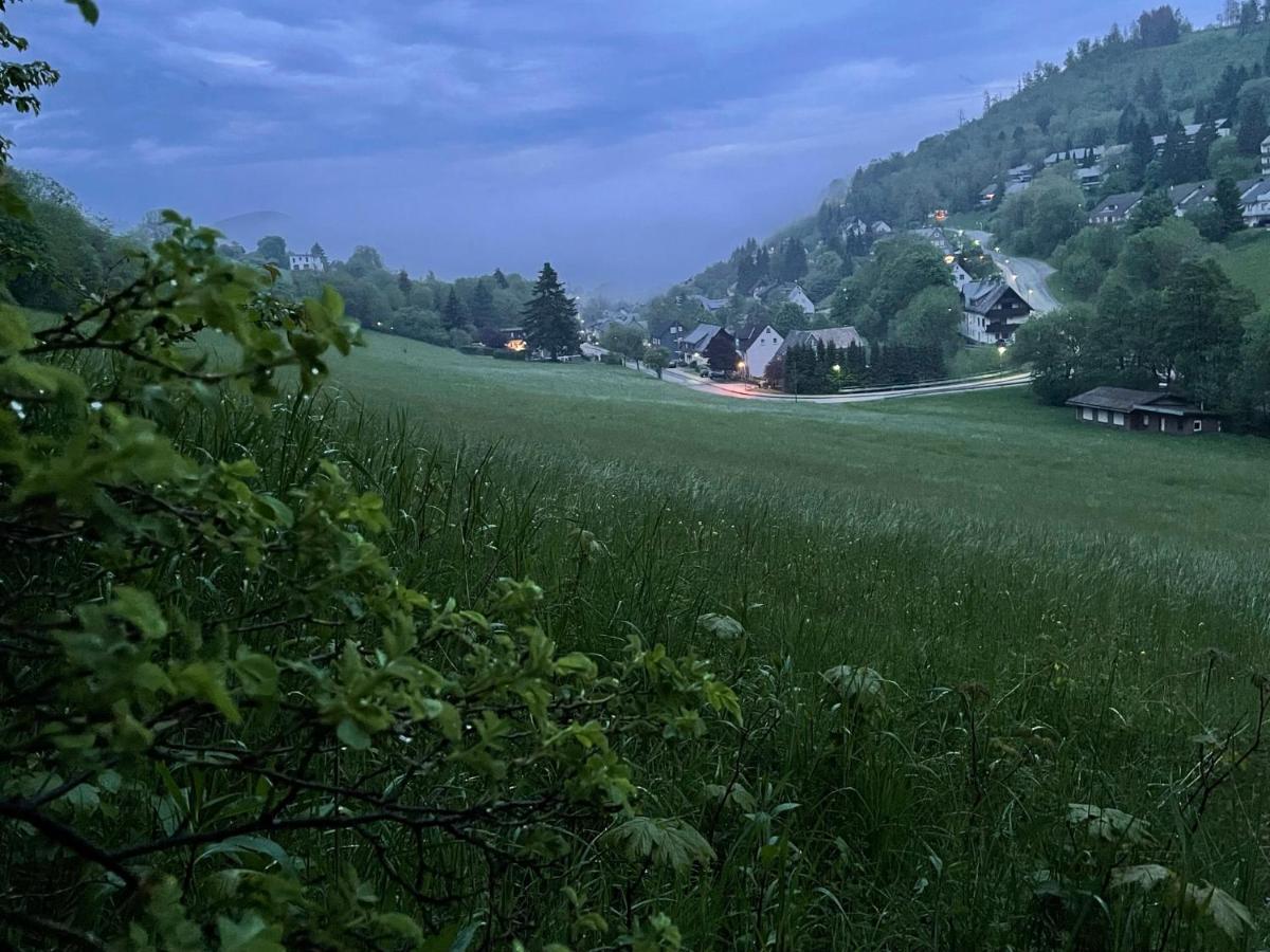 Ferienwohnung Up Willingen-Schwalefeld فيلنغن المظهر الخارجي الصورة