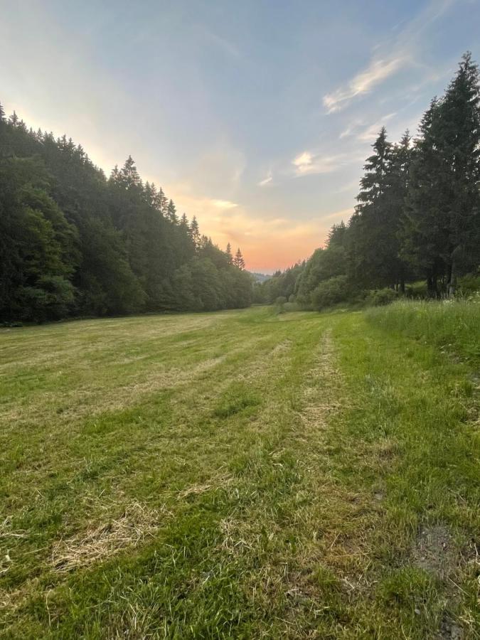 Ferienwohnung Up Willingen-Schwalefeld فيلنغن المظهر الخارجي الصورة