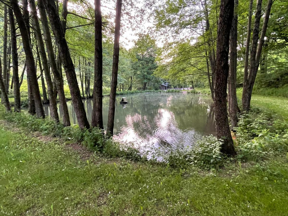 Ferienwohnung Up Willingen-Schwalefeld فيلنغن المظهر الخارجي الصورة