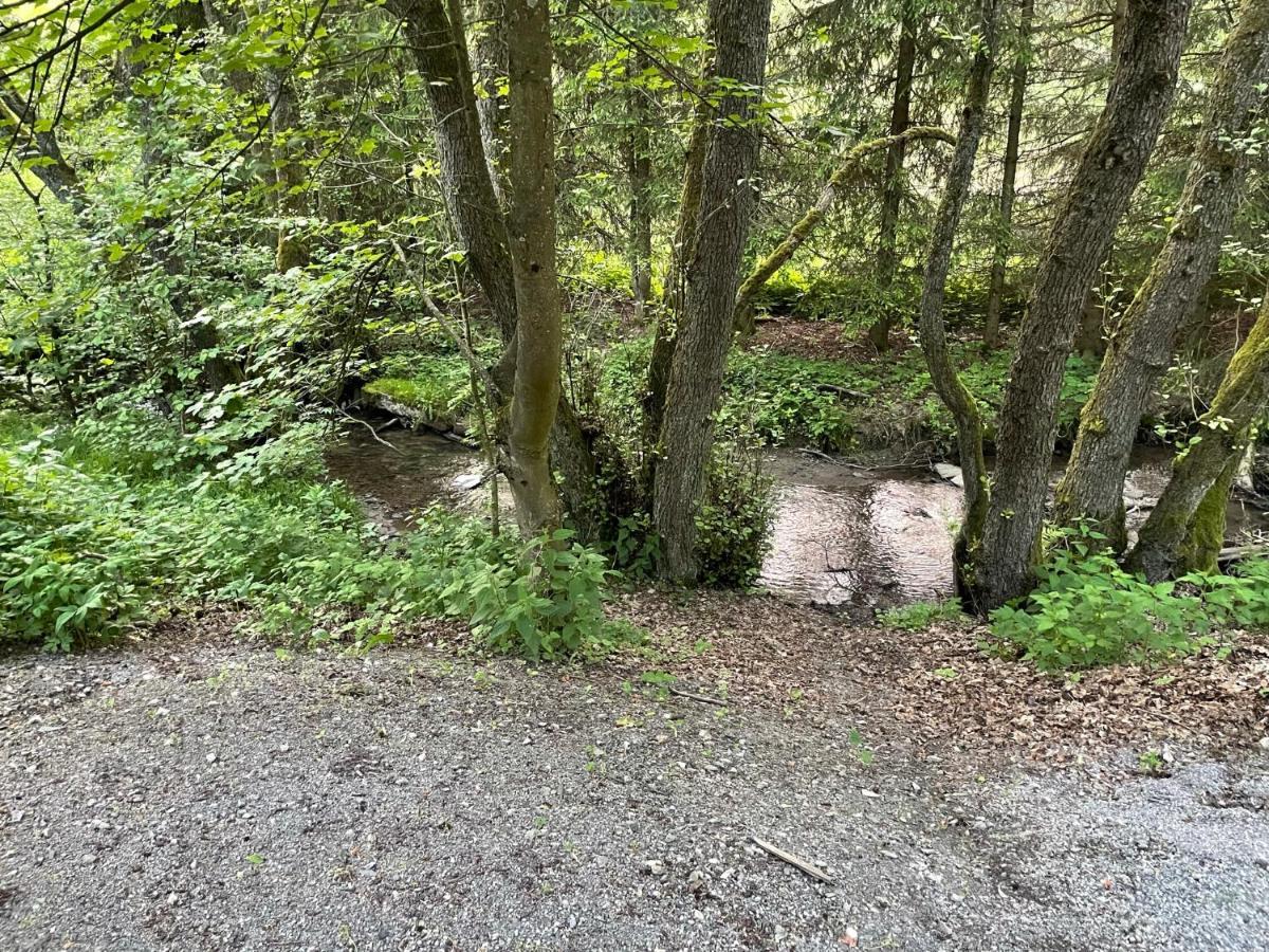 Ferienwohnung Up Willingen-Schwalefeld فيلنغن المظهر الخارجي الصورة